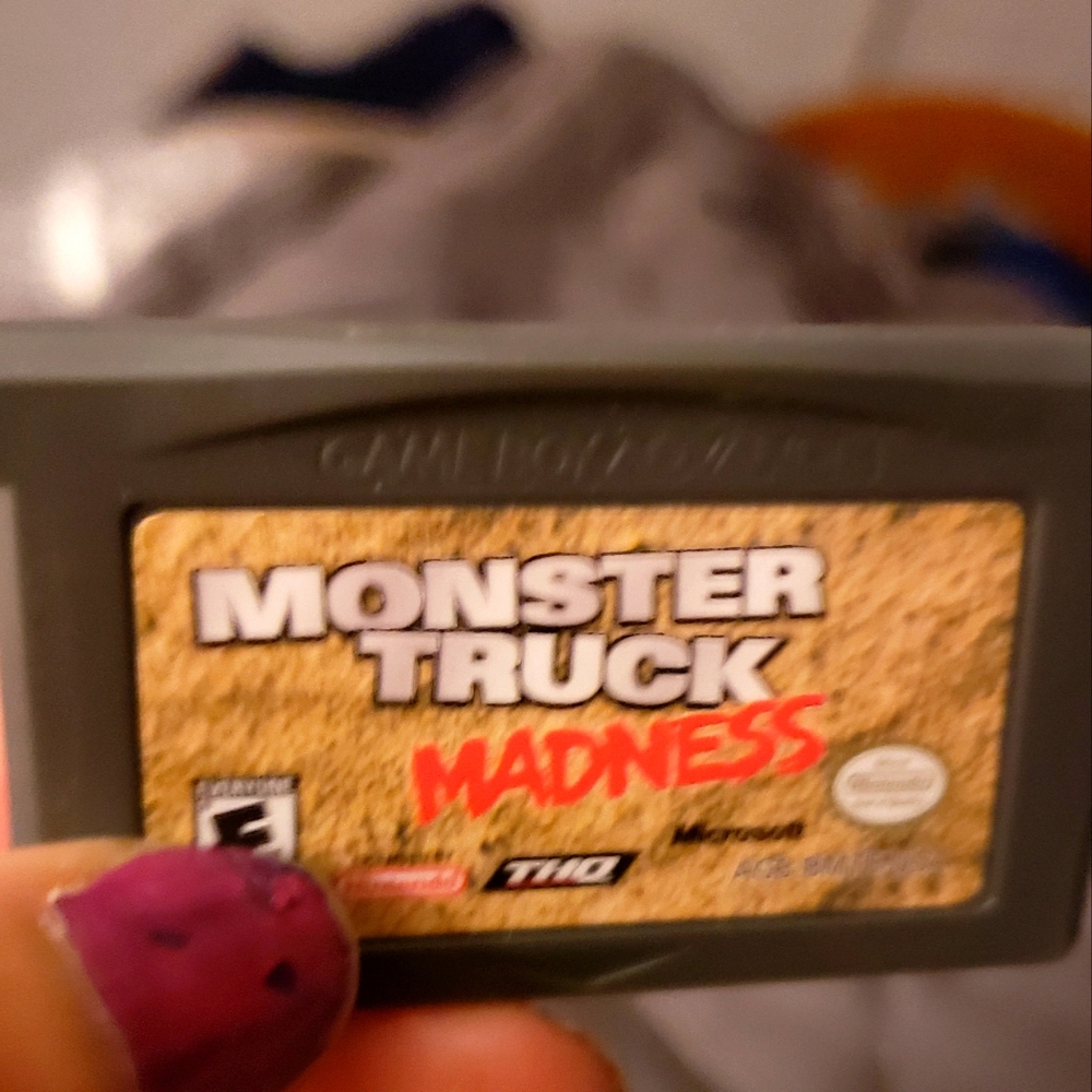 A Nintendo Ds game